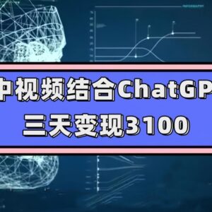 中视频结合ChatGPT变现实操教学 普通人可复制的低门槛赚钱思路-雨叶虚拟资源网