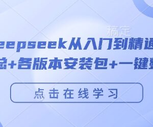 Deepseek从入门到精通全指南 附安装包指令汇总及部署攻略-雨叶虚拟资源网