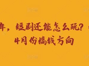 2025年4月短剧搞钱玩法汇总 0粉低粉可落地运营路径指南-雨叶虚拟资源网