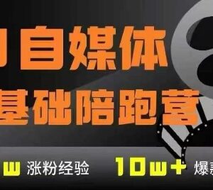 0基础AI自媒体从入门到稳定变现 7大模块系统训练营-雨叶虚拟资源网