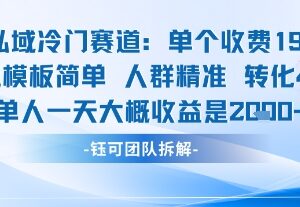 私域冷门高转化赚钱项目拆解 198元客单价单人即可操作获高收益-雨叶虚拟资源网