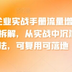 中小企业流量增长实战案例全拆解 可复用落地运营方法汇总-雨叶虚拟资源网