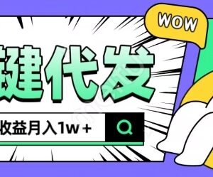 2024可落地抖推猫一键代发项目详解 低门槛操作轻松获稳定收益-雨叶虚拟资源网