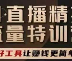 AI直播精英特训营课程 掌握直播底层逻辑与AI实操带货技巧-雨叶虚拟资源网