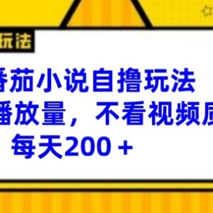2024番茄小说自撸玩法分享 无需高播放量剪辑技术易上手-雨叶虚拟资源网