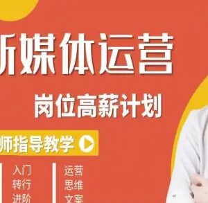 新媒体运营从入门转行到进阶 全体系能力提升培养课程-雨叶虚拟资源网