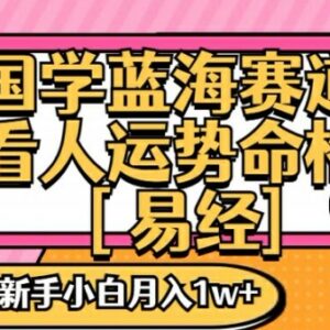 2024国学蓝海变现赛道项目解析 零基础手把手实操教学指南-雨叶虚拟资源网