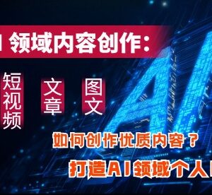 AI领域个人IP打造实操教程 短视频文章图文高效创作技巧-雨叶虚拟资源网