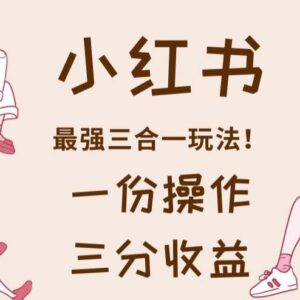小红书多多视频三合一变现玩法解析 单份操作可获三份收益-雨叶虚拟资源网