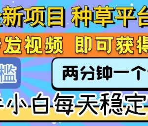 种草平台视频代发零门槛项目 新手操作即可获得稳定收益-雨叶虚拟资源网