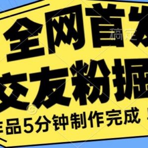 交友粉掘金长期稳定项目实操 单号单日收益200+玩法全揭秘-雨叶虚拟资源网