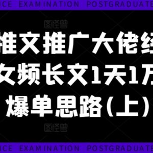 2024小说推文大佬实操分享 女频长文单日1万收益爆单思路（上）-雨叶虚拟资源网
