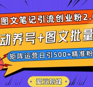 抖音小红书图文笔记实操 全自动养号批量引500+精准创业粉-雨叶虚拟资源网