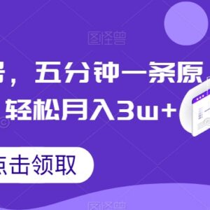 抖音视频号低门槛生僻字原创短视频制作及变现实操教程-雨叶虚拟资源网
