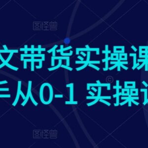 2024AI图文带货新手实操课 从0到1掌握全流程运营技巧-雨叶虚拟资源网