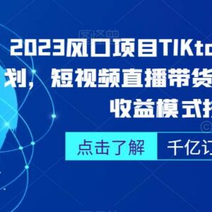 2023TikTok出海掘金实操教程 跨境短视频直播带货运营全指南-雨叶虚拟资源网