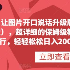 免费图片转说话视频保姆级教程 零基础可学会附多种变现方法-雨叶虚拟资源网