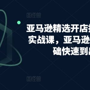 亚马逊0基础开店到出单全指南 选品运营实操教学合集-雨叶虚拟资源网