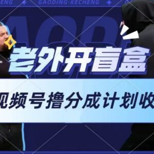 老外开盲盒类视频号分成项目玩法 新手每天1小时可操作赚收益-雨叶虚拟资源网