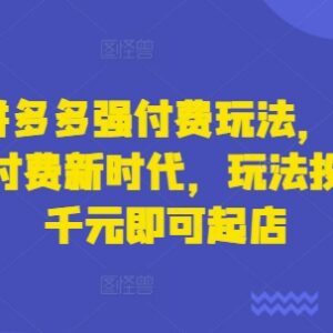2025拼多多强付费运营玩法 千元以内低投入即可快速实现新店起店-雨叶虚拟资源网