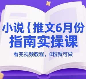 6月最新小说推文实操指南 0基础0粉可做的副业运营教程-雨叶虚拟资源网