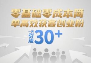 零基础零成本高效获客技巧 引流创业粉可实现日引流30+-雨叶虚拟资源网