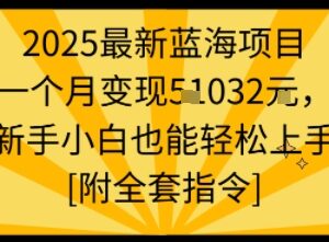 2025多平台短视频蓝海变现项目 新手易上手附全套操作指令-雨叶虚拟资源网
