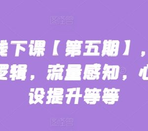 2024第五期抖音主播线下课 话术逻辑流量感知心流建设提升教程-雨叶虚拟资源网
