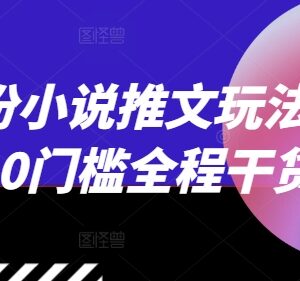 2024年12月小说推文最新玩法攻略 0门槛实操干货全整理-雨叶虚拟资源网