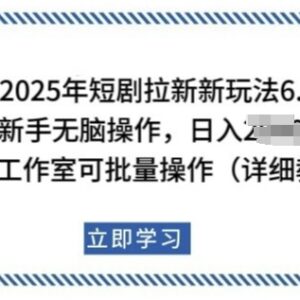 2025年短剧拉新低门槛实操玩法 新手及工作室可批量操作获收益-雨叶虚拟资源网