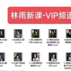林雨VIP频道最新运营课程：私域朋友圈社群实操玩法全解析-雨叶虚拟资源网