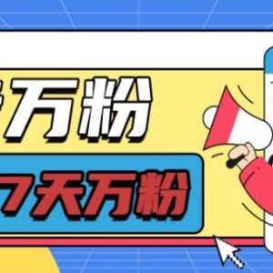 2024抖音七天万粉项目实操教程 低门槛每天半小时可单赚600-雨叶虚拟资源网