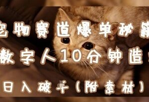 宠物赛道变现教程：用AI+数字人制作爆款内容快速涨粉盈利-雨叶虚拟资源网