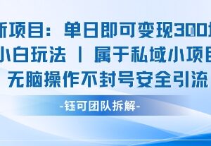 适合新手小白的单日变现安全引流玩法 操作简单无门槛不封号-雨叶虚拟资源网