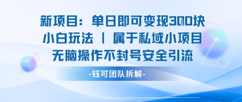 适合新手小白的单日变现安全引流玩法 操作简单无门槛不封号