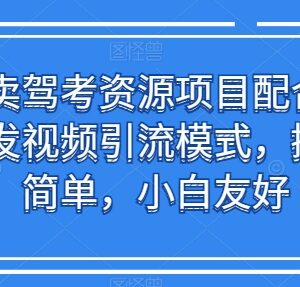 驾考资源售卖项目搭配短视频引流玩法 操作简单小白友好-雨叶虚拟资源网