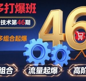 拼多多打爆班第46期高阶教程 店铺组合起爆全链路实操玩法-雨叶虚拟资源网