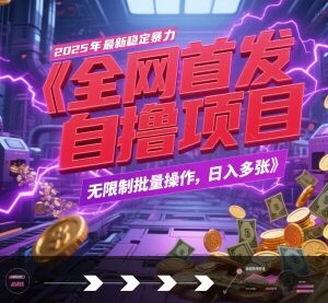 2025年稳定全自动游戏试玩自撸项目玩法 可批量操作收益解析-雨叶虚拟资源网