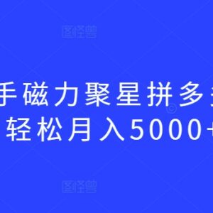 快手磁力聚星拼多多玩法详解 100粉账号即可操作月入5000+-雨叶虚拟资源网