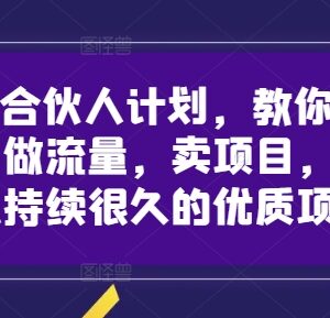 创业IP合伙人计划玩法 知识付费流量运营卖项目实操指南-雨叶虚拟资源网