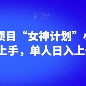 男粉赛道女神计划项目实操指南 小白易上手单人可实现日入上千-雨叶虚拟资源网