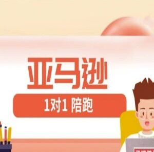 亚马逊FBA/FBM精铺1对1陪跑课 新手跨境开店全流程教程-雨叶虚拟资源网