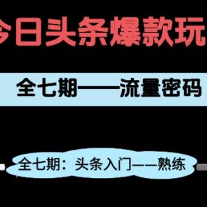 头条系列7期项目全拆解 新手从0到1实操避坑干货指南-雨叶虚拟资源网
