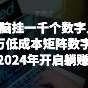 2024数字人矩阵直播蓝海项目 低门槛可落地实操玩法详解-雨叶虚拟资源网