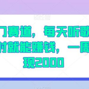 发布经典音乐视频赚钱冷门项目 新手操作一周可变现2000-雨叶虚拟资源网