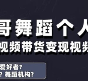 抖音舞蹈账号运营全指南 个人IP打造及变现实操教程-雨叶虚拟资源网