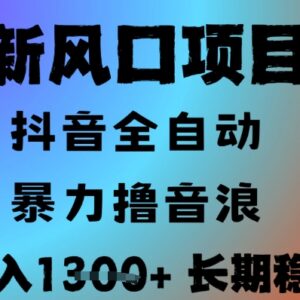 抖音无人直播撸音浪项目解析 零门槛全自动可批量放大收益-雨叶虚拟资源网