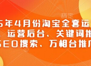 2025年4月淘宝全套运营实操课程 含后台SEO万相台推广教学-雨叶虚拟资源网