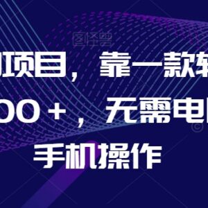 无需电脑手机可操作的AI冷门变现项目 普通人实操可日入千元-雨叶虚拟资源网