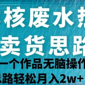日本核废水热点卖货思路拆解 全平台小白可操作的低门槛变现玩法-雨叶虚拟资源网